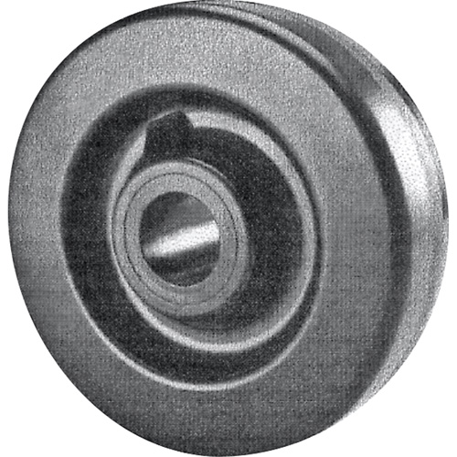 Phenolic Wheel Brunswick Fyr & Safety