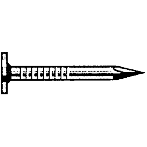 Clous de toiture brillants, t&ecirc;te 7/16" Brunswick Fyr & Safety