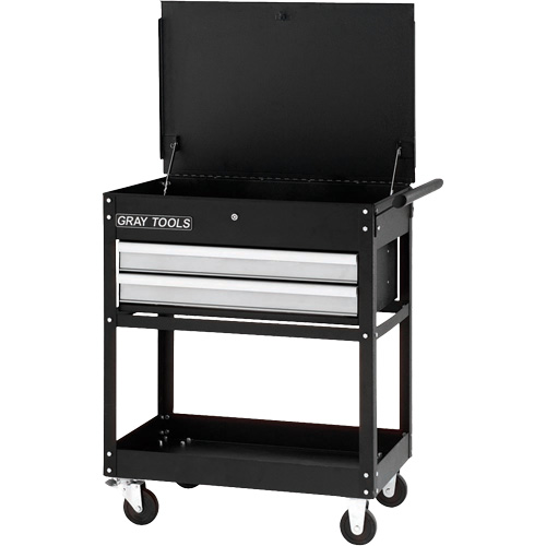 Utility Cart, 2 Drawers, 30-1/4" L x 19" W x 35-3/4" H, Black Brunswick Fyr & Safety