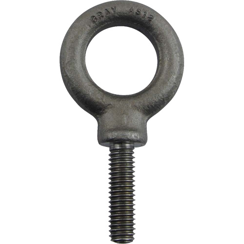 Alloy Steel Eye Bolt, 1" Dia., 1-1/4" L, 1480 lbs. (0.74 tons)/1480 lbs. Capacity Brunswick Fyr & Safety