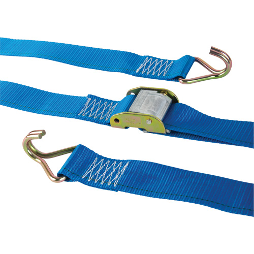 Logistic Strap, Cam Buckle, 2" W x 20' L, 500 lbs. (227 kg) WLL Brunswick Fyr & Safety