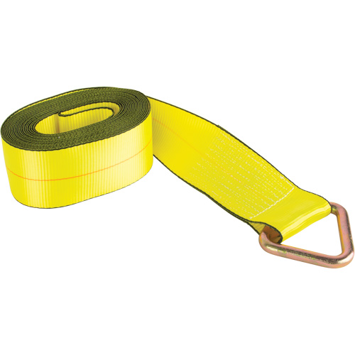 Tendeur d'arrimage logistique, Anneau delta, 30' , 4" , Charge d'utilisation max. 5400 lb (2449 kg) Brunswick Fyr & Safety