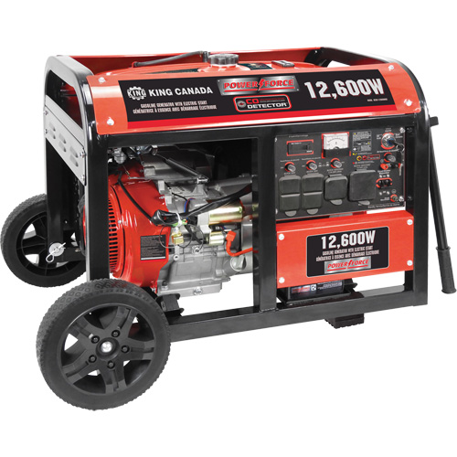Gasoline Generator with Electric Start, 12600 W Surge, 9000 W Rated, 120 V/240 V, 31 L Tank Brunswick Fyr & Safety