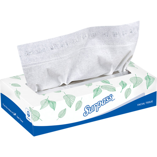 Surpass&reg; Facial Tissue, 2 Ply, 8.3" L x 7.8" W, 100 Sheets/Box Brunswick Fyr & Safety
