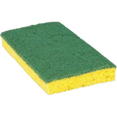 Scotch-Brite Medium Duty Scrub Sponge, Scrubbing, 3-3/5" W x 6-1/10" L Brunswick Fyr & Safety