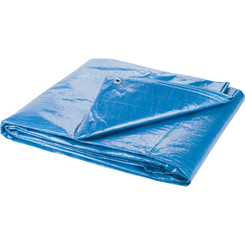 Tarp, Standard Duty, Blue, 7' x 5' x 4 mils Brunswick Fyr & Safety