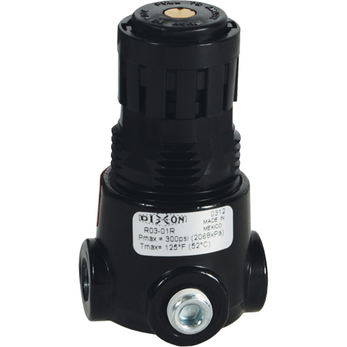 Wilkerson Miniature Regulator R03, 1/8" NPT, 300 psi Max. PSI, Standard Brunswick Fyr & Safety