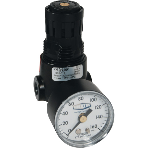Wilkerson Miniature Regulator R04, 1/4" NPT, 300 psi Max. PSI, Standard Brunswick Fyr & Safety