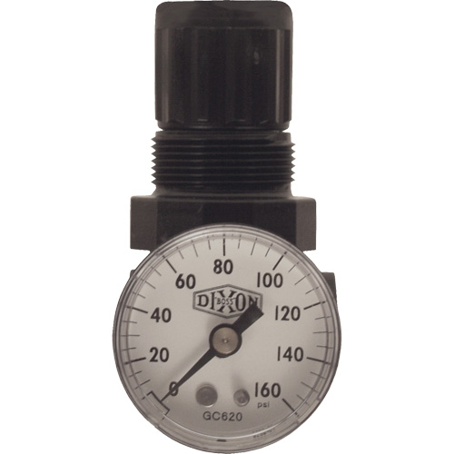 Series 1 Miniature Regulator, 1/8" NPT, 100 psi Max. PSI, Standard Brunswick Fyr & Safety