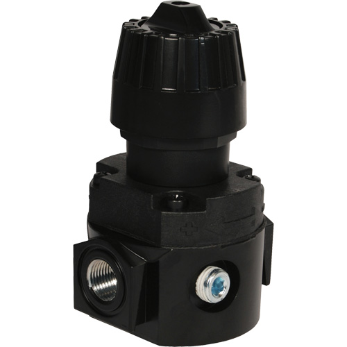 R&eacute;gulateur compact R16 Wilkerson, 1/4" NPT, PSI max. de 300 psi, Standard Brunswick Fyr & Safety