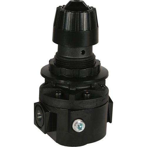 Wilkerson Regulator R26, 1/2" NPT, 300 psi Max. PSI, Standard Brunswick Fyr & Safety