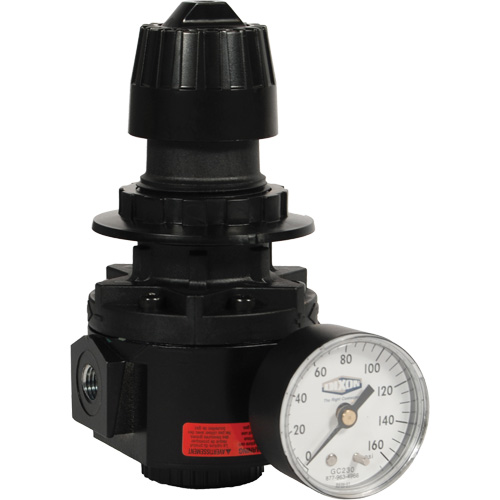 Wilkerson Regulator R26, 1/2" NPT, 300 psi Max. PSI, Standard Brunswick Fyr & Safety