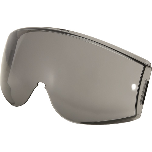 Lunettes de s&eacute;curit&eacute; Stealth, Antibu&eacute;e, Gris Brunswick Fyr & Safety
