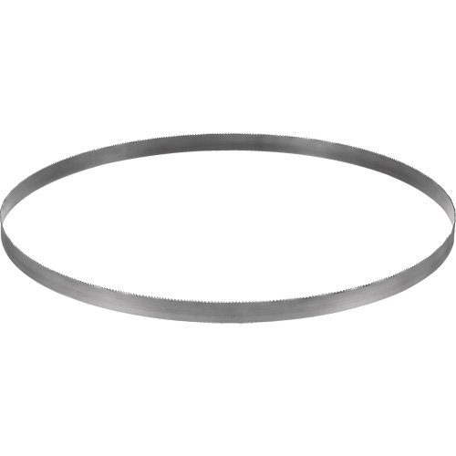 Lame de scie &agrave; ruban sans fil, Bim&eacute;tal, 32-7/8" lo x &eacute;paisseur 0,02", 14-18 dents par pouce Brunswick Fyr & Safety