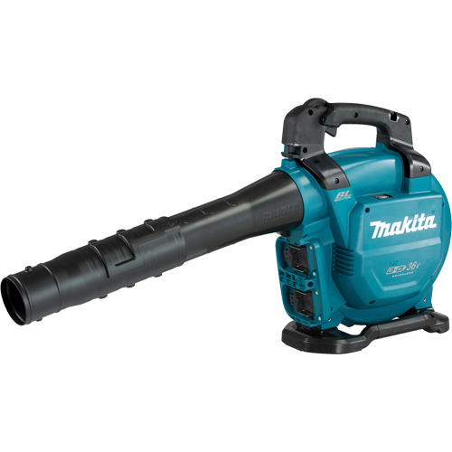 Souffleur/aspirateur sans fil LXT X2, 18 V, Vitesse d'air 120 mi/h, &agrave; pile Brunswick Fyr & Safety