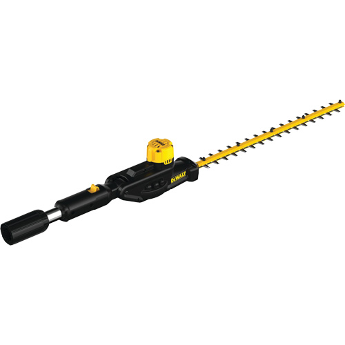 t&ecirc;te de taille-haie sur perche 20 V Max* Brunswick Fyr & Safety