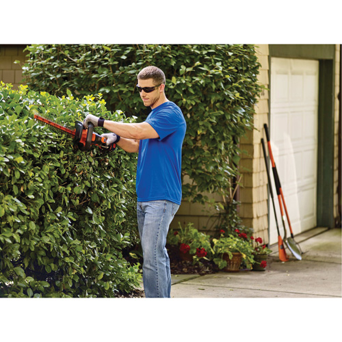 Ensemble de taille-haie sans fil Max* PowerCut, 22", 20 V, &agrave; pile Brunswick Fyr & Safety