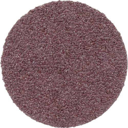 PSA Cloth Disc 348D, 20" Dia., 60 Grit, Aluminum Oxide Brunswick Fyr & Safety