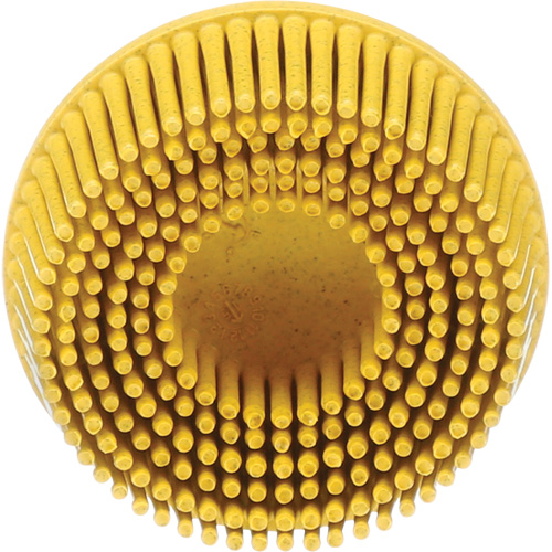 Scotch-Brite Roloc Bristle Disc, Ceramic, Medium Grit, 2" Dia. Brunswick Fyr & Safety
