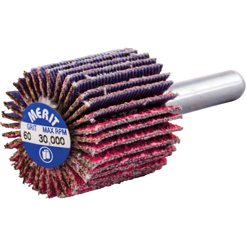 Mini-meule &agrave; lamelles mont&eacute;e sur tige, C&eacute;ramique d'alumine, Grain 60, 1" x 1" x 1/4" Brunswick Fyr & Safety