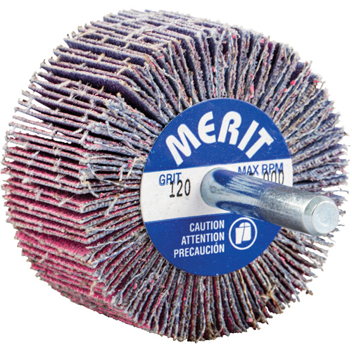 Mini-meule &agrave; lamelles mont&eacute;e sur tige, C&eacute;ramique d'alumine, Grain 120, 2" x 1" x 1/4" Brunswick Fyr & Safety