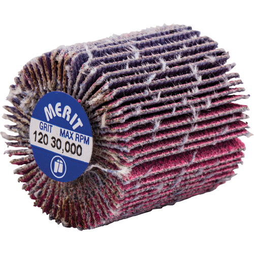 Mini-meule &agrave; lamelles filet&eacute;es, C&eacute;ramique d'alumine, Grain 120, 1" x 1" x 1/4"-20 Brunswick Fyr & Safety