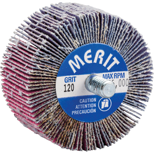 Mini-meule &agrave; lamelles filet&eacute;es, C&eacute;ramique d'alumine, Grain 120, 2" x 1" x 1/4"-20 Brunswick Fyr & Safety