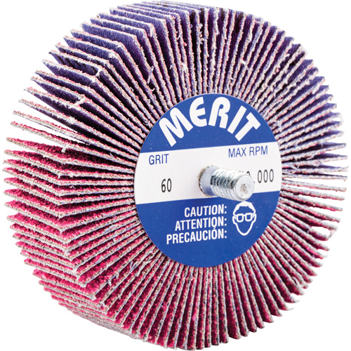 Threaded Mini Flap Wheel, Ceramic Alumina, 60 Grit, 3" x 1" x 1/4"-20 Brunswick Fyr & Safety