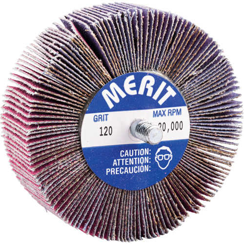 Mini-meule &agrave; lamelles filet&eacute;es, C&eacute;ramique d'alumine, Grain 120, 3" x 1" x 1/4"-20 Brunswick Fyr & Safety