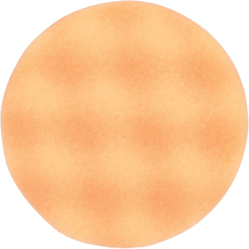 Finesse-it Foam Buffing Pad 46631, 3-1/4" Dia., Foam Brunswick Fyr & Safety