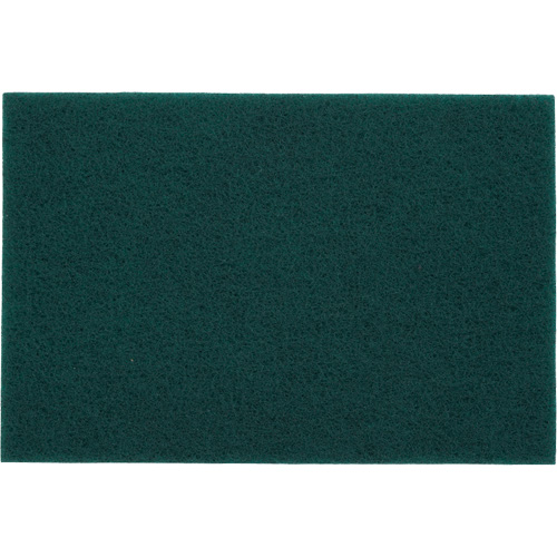 Tampons manuels Bear-Tex, Oxyde d'aluminium, 6" x 9", Grain Tr&egrave;s fin Brunswick Fyr & Safety