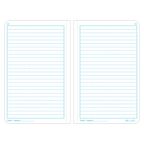 Bound Book, Hard Cover, Yellow, 160 Pages, 4-5/8" W x 7-1/4" L Brunswick Fyr & Safety