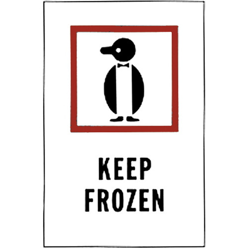 &eacute;tiquettes pour traitement sp&eacute;cial Keep Frozen, 6" lo x 4" la, Rouge/blanc Brunswick Fyr & Safety