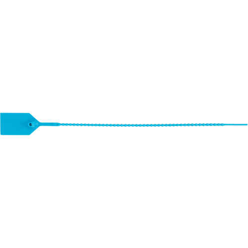 Standard-Duty Security Seal, 12", Plastic, Plastic Seal Brunswick Fyr & Safety