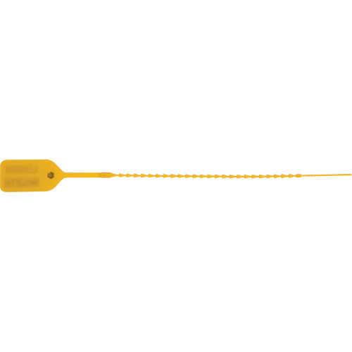 Scell&eacute; de s&eacute;curit&eacute; standard, 9", Plastique, Pousser et tirer Brunswick Fyr & Safety