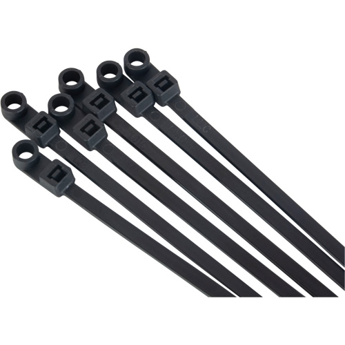 Attache-c&acirc;ble &agrave; visser, Longueur 8", R&eacute;sistance &agrave; la traction 50 lb, Noir Brunswick Fyr & Safety
