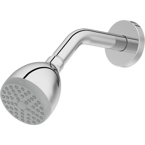 One-Function Showerhead Brunswick Fyr & Safety