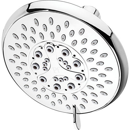 Multi-Function Showerhead Brunswick Fyr & Safety