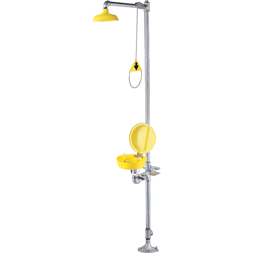 Combination Shower Eye/Face Wash With Cover Brunswick Fyr & Safety