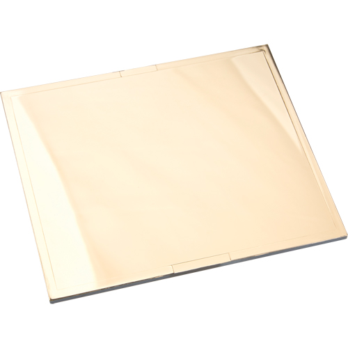 Omni-View&reg; Gold Filter Plates Brunswick Fyr & Safety