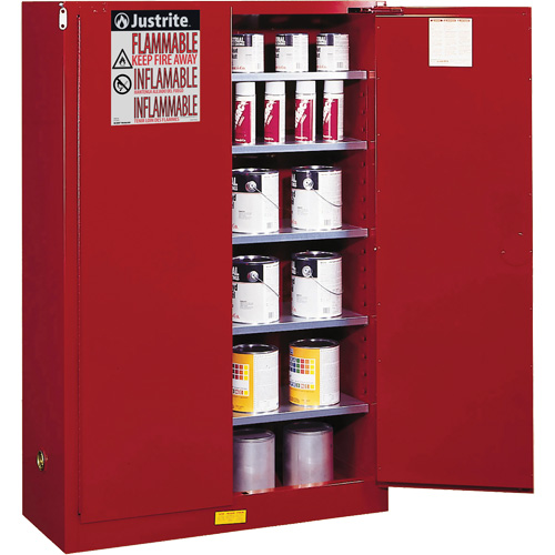 Sure-Grip&reg; EX Combustibles Safety Cabinet for Paint and Ink, 60 gal., 5 Shelves Brunswick Fyr & Safety