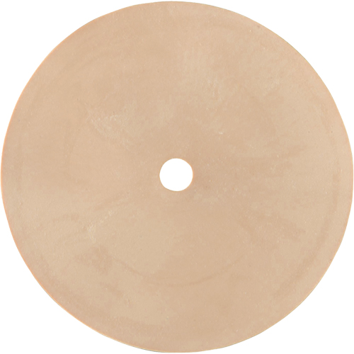 Survivair&reg; Inhalation Valve Brunswick Fyr & Safety