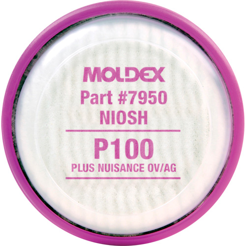 Particulate Filter Disk, Particulate Filter/Particulate Filter with Nuisance Vapour Relief, N95 Filter/Organic Vapour/Acid Gas/P100/P100 Filter/R95 Filter Brunswick Fyr & Safety