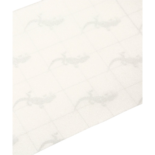 Ruban antid&eacute;rapant de premi&egrave;re qualit&eacute;, 6" x 60', Transparent Brunswick Fyr & Safety