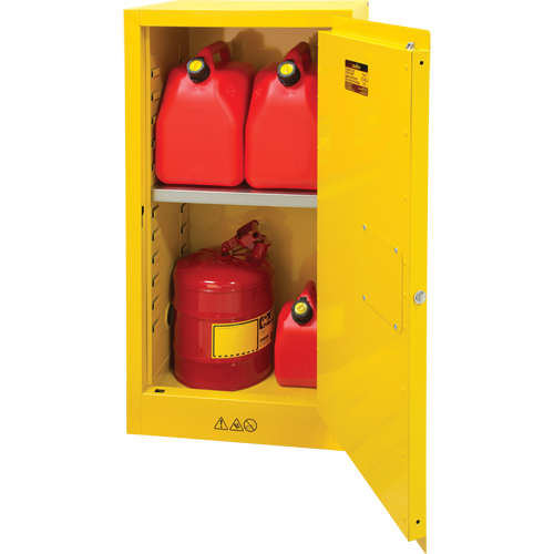 Armoire pour produits inflammables, 16 gal., 1 Porte(s), 23" La x 44" h x 18" p Brunswick Fyr & Safety