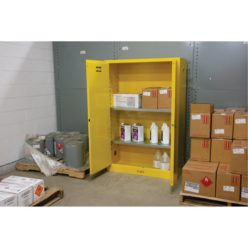 Flammable Storage Cabinet, 45 gal., 2 Door, 43" W x 65" H x 18" D Brunswick Fyr & Safety