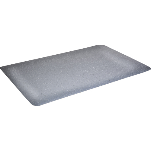 Tapis antimicrobiens WD Foodmaster, Lisse, 3' x 4' x 9/16", Gris, Mousse de vinyle Brunswick Fyr & Safety