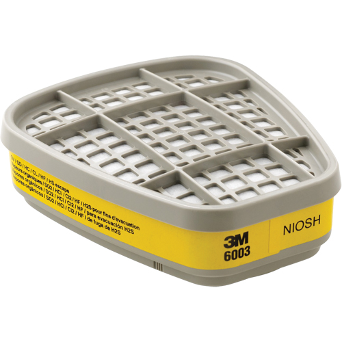 Cartouches pour respirateur s&eacute;rie 6000, Cartouche gaz/vapeur, Vapeurs organiques/Gaz acides Brunswick Fyr & Safety