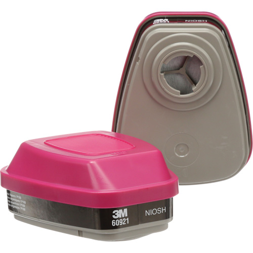 Cartouches pour respirateur s&eacute;rie 6000, Cartouche gaz/vapeur, Vapeurs organiques/P100 Brunswick Fyr & Safety