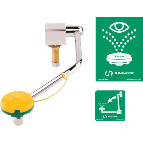 Eye/Face Wash Station, Sink Mount Installation Brunswick Fyr & Safety